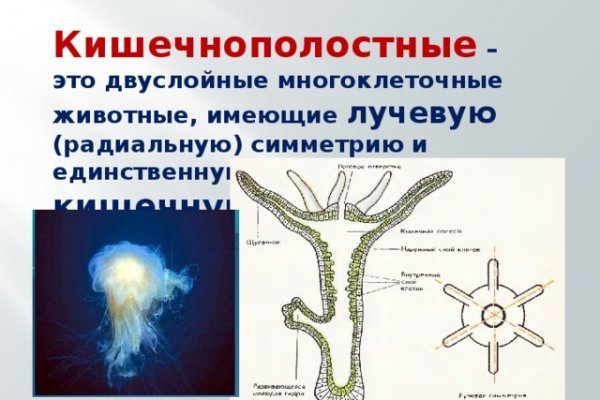 Кракен магазин наркотиков