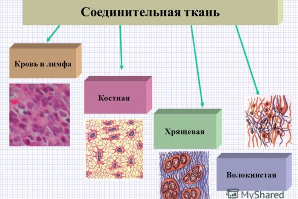 Kraken ссылка зеркало официальный